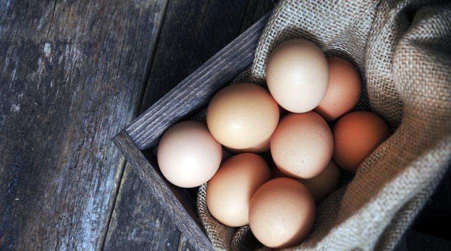 Come conservare le uova fresche: guida pratica