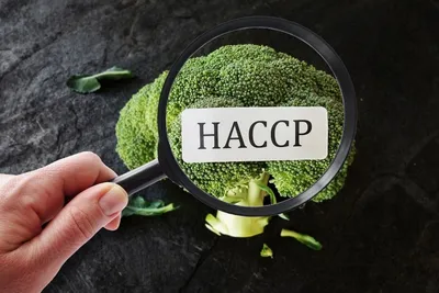 Corso di Aggiornamento HACCP: modalità e scadenze