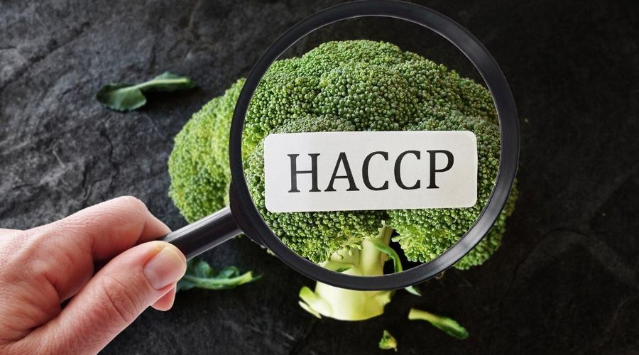 HACCP: definizione, obiettivi e importanza per la sicurezza alimentare